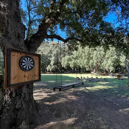 De 2 - Cap Corse - Domaine 1001 Nuits Sisco