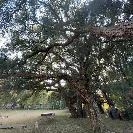 De 2 - Cap Corse - Domaine 1001 Nuits 3*