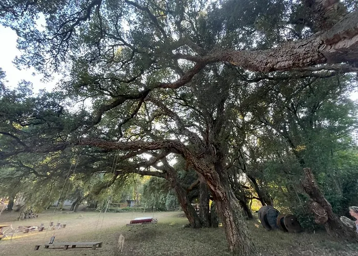 De 2 - Cap Corse - Domaine 1001 Nuits 3*